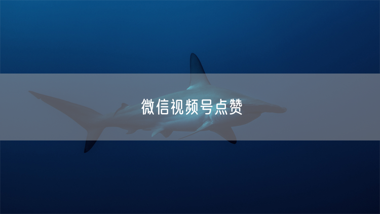 微信视频号点赞