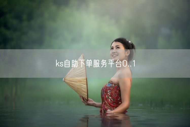 ks自助下单服务平台0..1