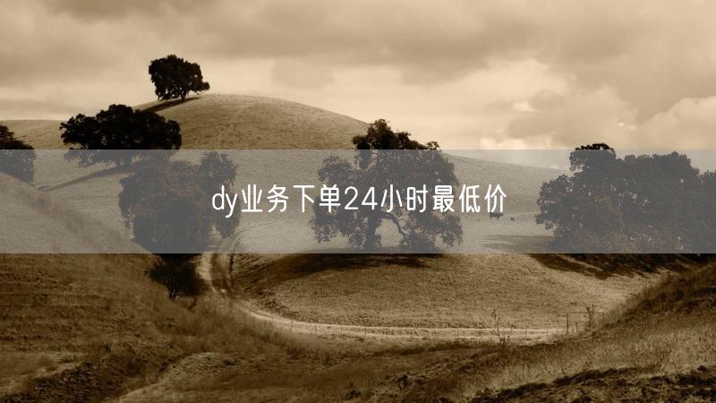 dy业务下单24小时最低价