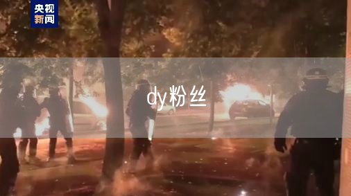 dy粉丝
