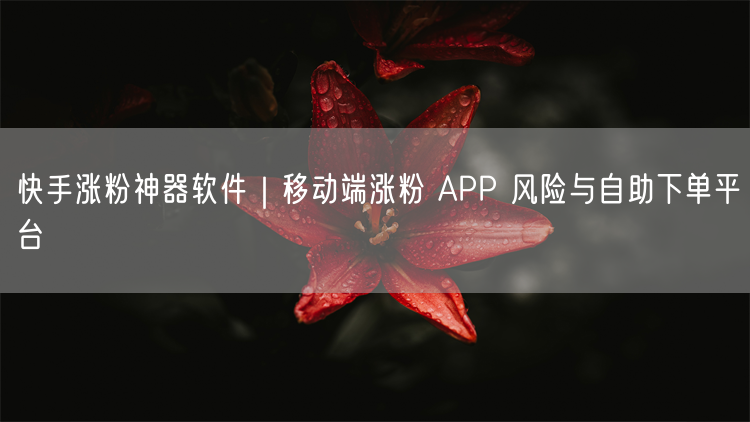 快手涨粉神器与APP风险揭秘：自助下单隐患及真实案例