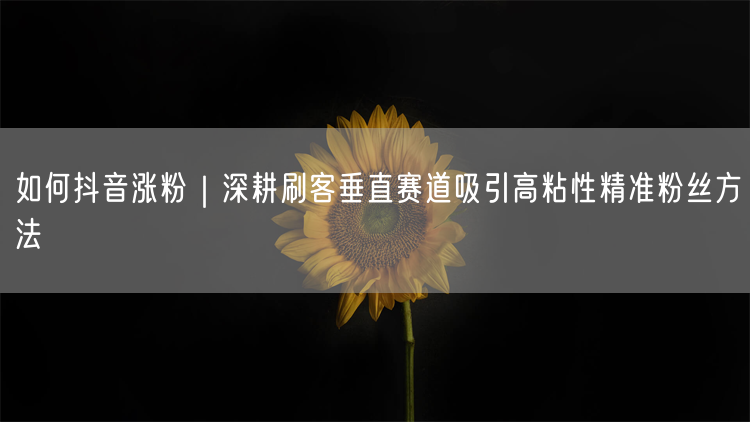如何抖音涨粉｜深耕刷客垂直赛道吸引高粘性精准粉丝方法