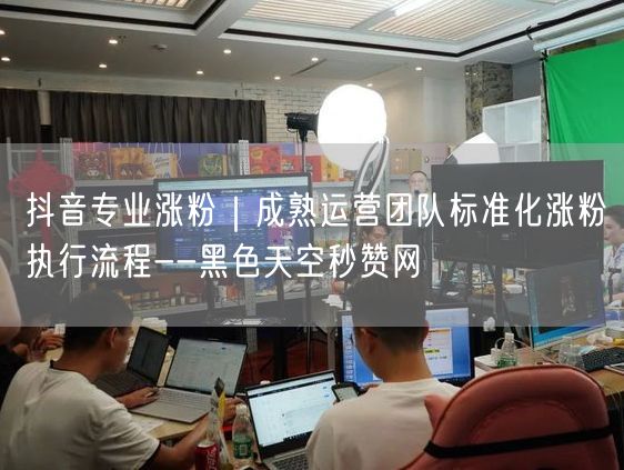 抖音专业涨粉｜成熟运营团队标准化涨粉执行流程--黑色天空秒赞网