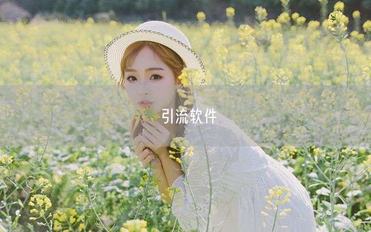引流软件