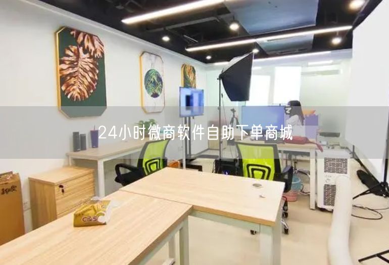 24小时微商软件自助下单商城