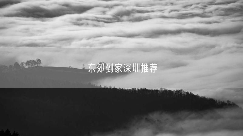 东郊到家深圳实测：上门推拿服务体验与避坑指南