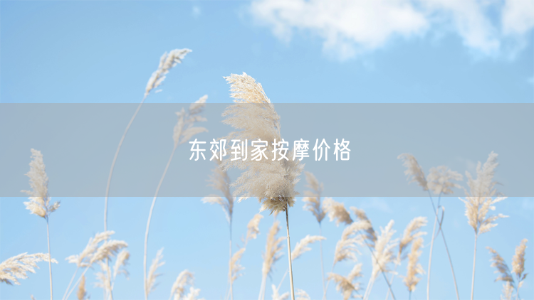 东郊到家按摩价格揭秘：费用、避坑与真实体验分享