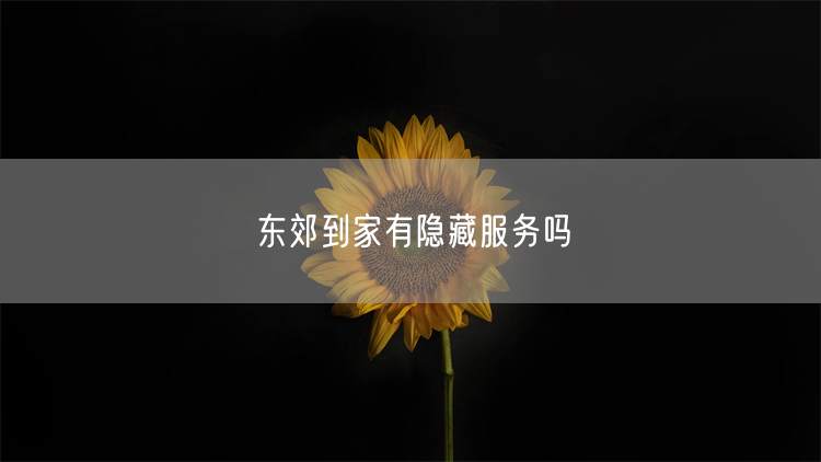 东郊到家隐藏服务揭秘：实操经验与真实踩坑指南