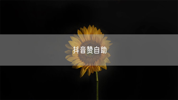 抖音赞自助全攻略：涨粉技巧+互动提升+运营实操