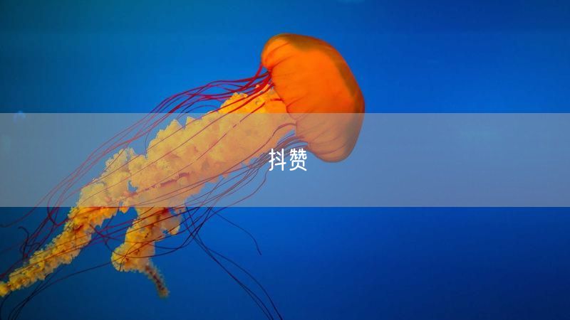 抖赞