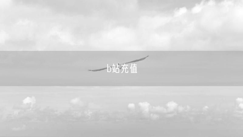 b站充值