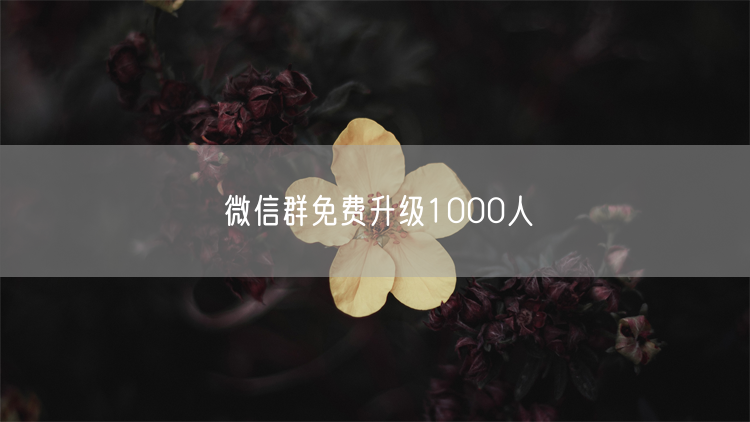 微信群免费升级1000人