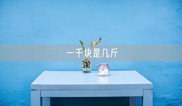 一千块是几斤