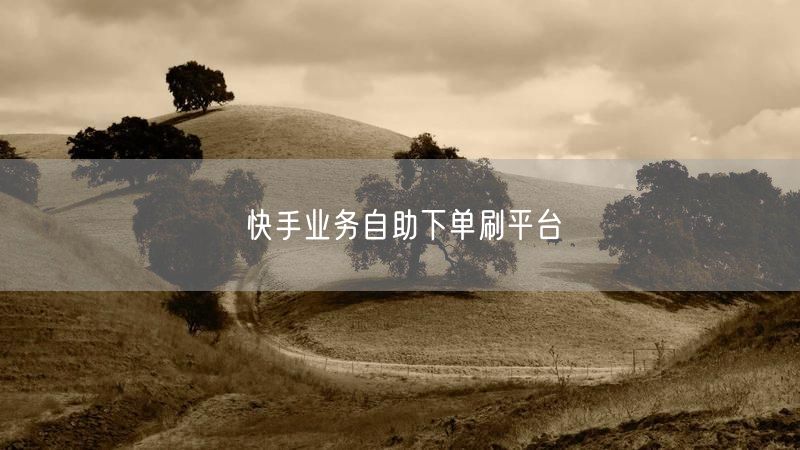 快手业务自助下单刷平台