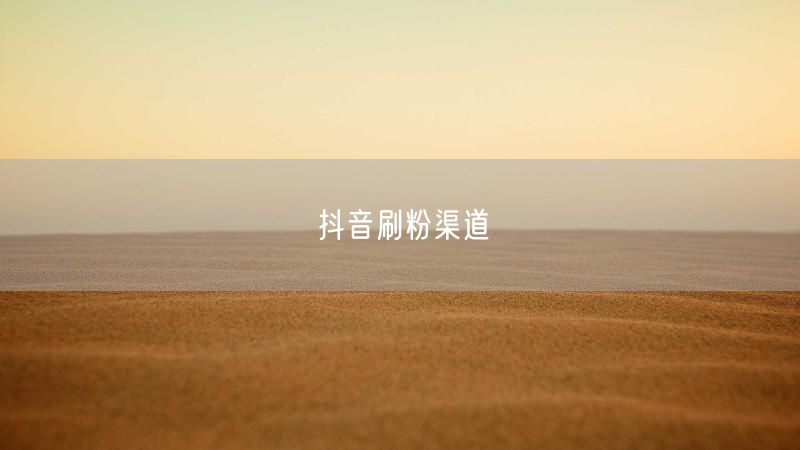 抖音刷粉渠道