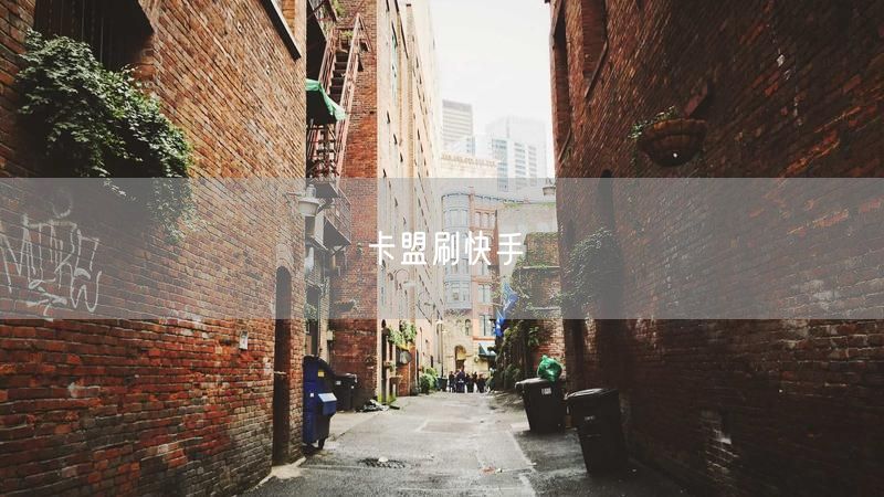 卡盟刷快手