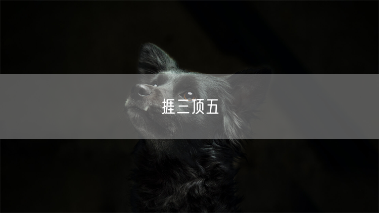 捱三顶五