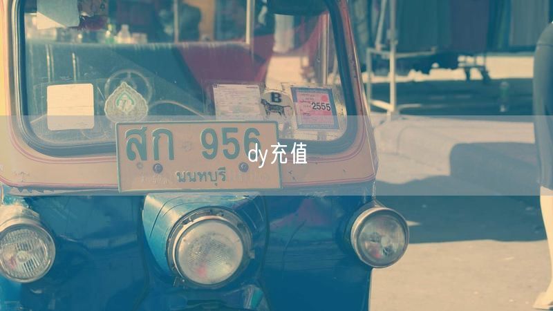 dy充值